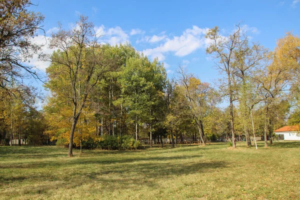 Najaarslandschap Het Kleurrijke Bos — Stockfoto