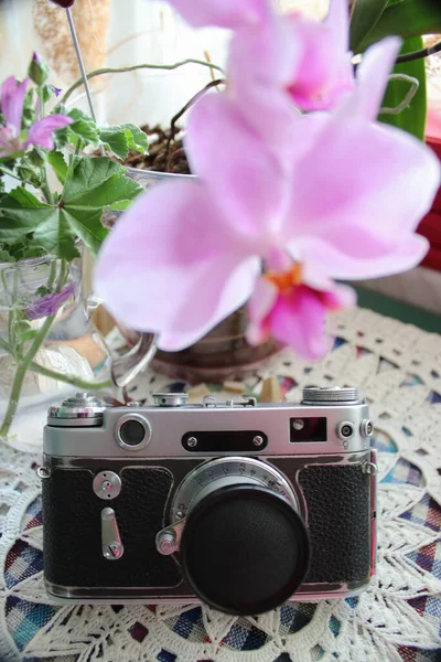 Csendélet Orchideavirággal Vázával Piros Könyvekkel Egy Retro Kamerával Asztalon — Stock Fotó