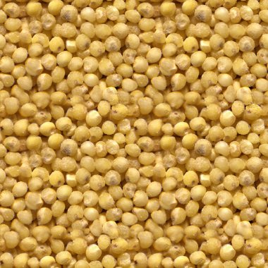 Darı kabuğu çıkarılmış tane dokusuna sorunsuz fotoğraf