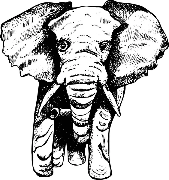 Illustrazione di una schiusa di computer di elefante. Tatuaggi di elefante nero — Foto Stock