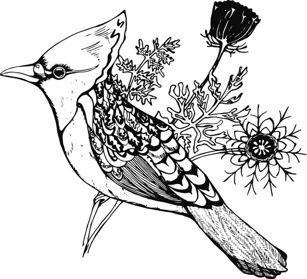 Oiseau avec une touffe et des plantes sur un fond. Illustration graphique — Image vectorielle