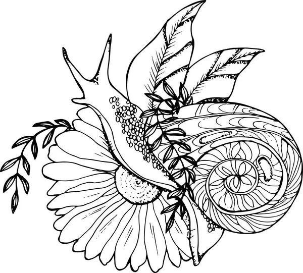 Illustration d'un escargot rampant à travers une fleur. Dessin noir et blanc — Image vectorielle