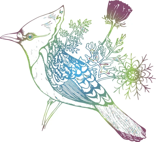 Fågel med en tofs och växter på en bakgrund. Färgglada grafisk illustration — Stock vektor