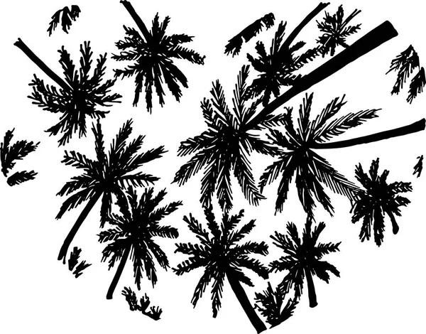 Illustration en noir et blanc de silhouettes de palmiers inscrites au cœur. Vue du bas . — Image vectorielle