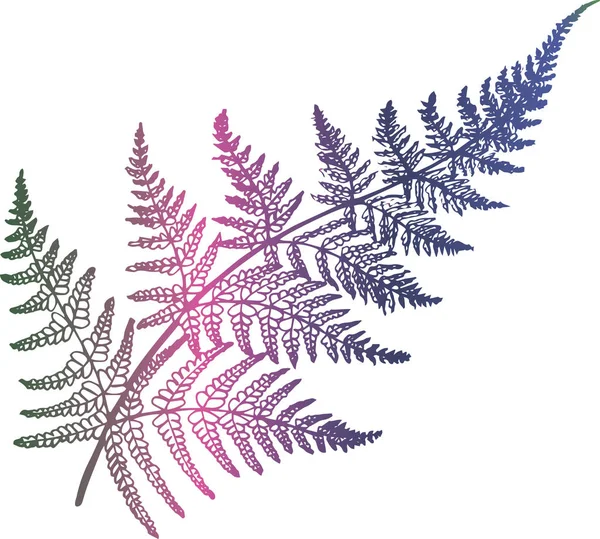 Přímá barva přechodu fern ilustrace. Starověký závod list. — Stockový vektor