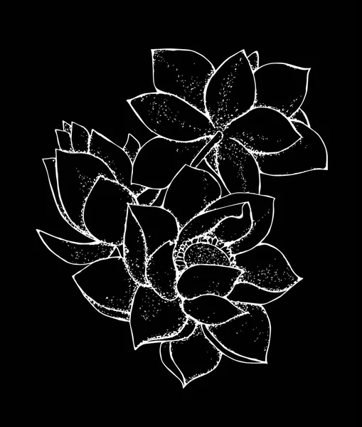शैली में कमल के फूल का चित्रण। काले और सफेद लोटस पैटर्न — स्टॉक वेक्टर