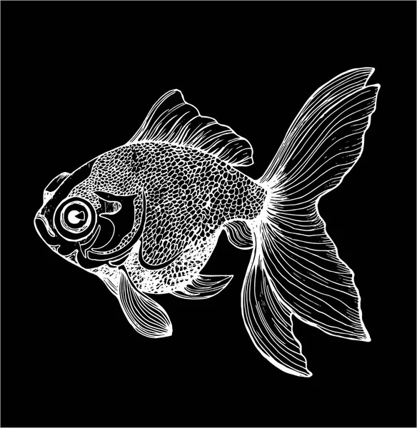 ภาพประกอบปลาทองคําขาวดํา ภาพวาดของสัตว์ทะเล ชอล์กบนกระดานดํา . — ภาพเวกเตอร์สต็อก
