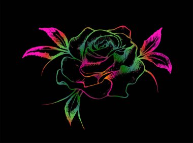 Renkli çizimi bir gül. Rose tutku simgesidir