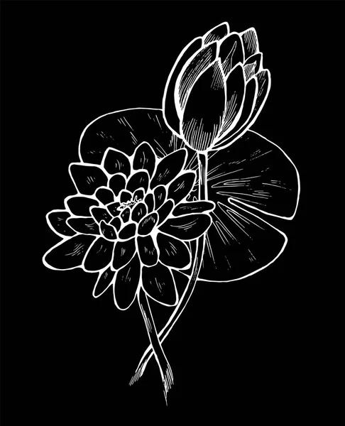 Tiza en una pizarra. Ilustración de flor de loto en estilo. Patrón de loto blanco y negro — Archivo Imágenes Vectoriales