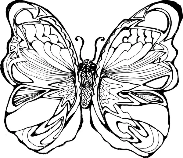 Schwarz-weißes Schmetterlingsmuster. schönes Insekt. — Stockvektor