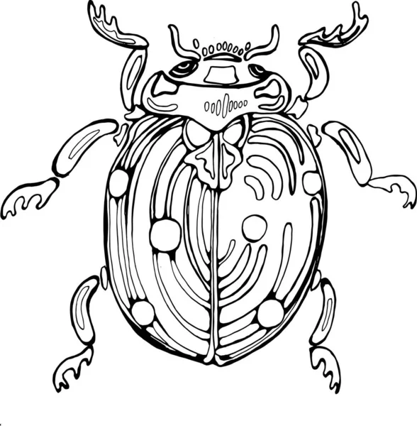 Ilustração de joaninha. A ideia de uma tatuagem com um inseto de senhora cósmica . — Vetor de Stock