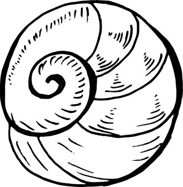 Deniz hayvanı çizimi. Eski deniz spiral motifi.