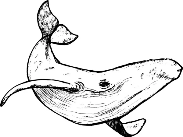 Illustration av en val undervattens i en dotwork stil. Royaltyfria Stockvektorer