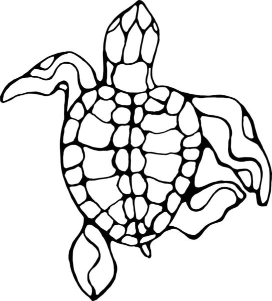 Ilustração de uma tartaruga sábia. Tartaruga nadadora em movimento com ornamento. —  Vetores de Stock