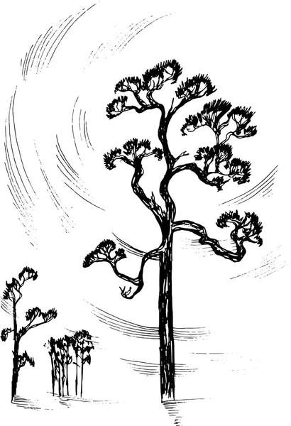 Ilustración de árboles en perspectiva. Horizonte de retroceso. El ruido del viento en los pinos. — Archivo Imágenes Vectoriales