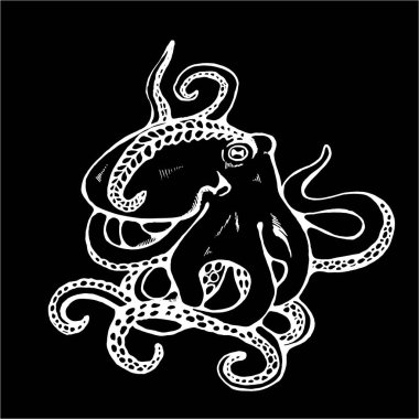 Dövme şeklinde yosunlu bir ahtapot tasviri. Tahtadaki tebeşir.
