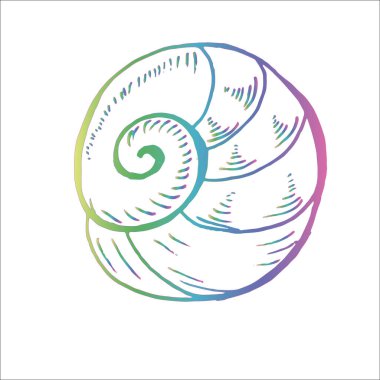 Renkli neon deniz hayvanı çizimi. Eski deniz sarmalı. Dövme fikri.