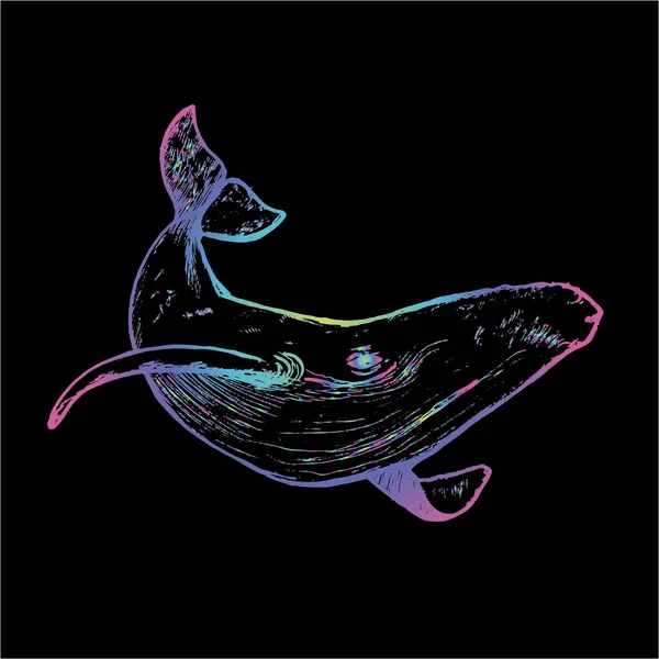 작업 방식으로 물 속에 있는 고래를 그린 컬러 삽화. — 스톡 벡터