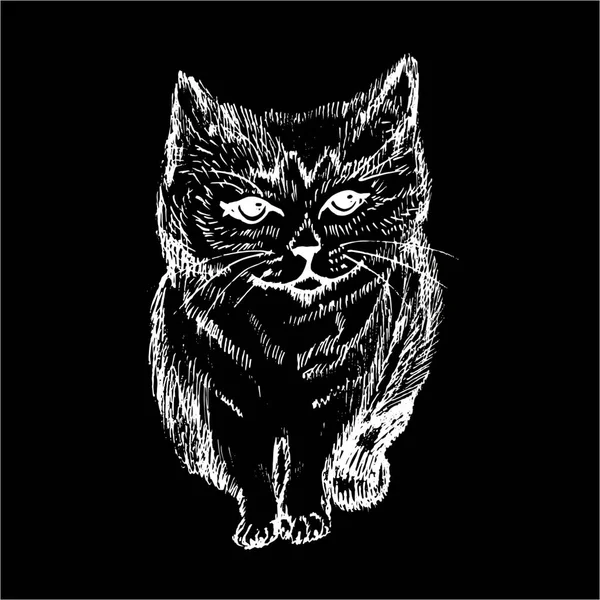 Ilustração de um gato em um estilo de eclosão. Gato giro. Giz em um quadro negro . —  Vetores de Stock