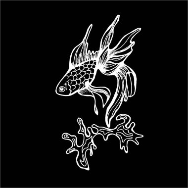 Horoz ve deniz dalgası balığı şeklinde bir resim. Tahtadaki tebeşir.