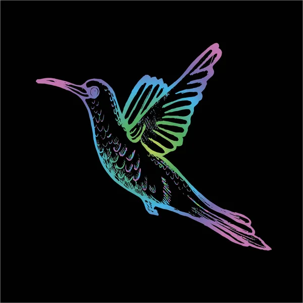 Färggradient illustration av en flygande kolibri. En liten sofistikerad fågel. — Stock vektor