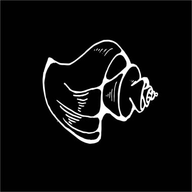 Deniz hayvanı çizimi. Eski deniz sarmalı. Dövme fikri. Tahtadaki tebeşir.