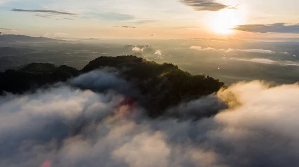 Пташиного Польоту Туман Таїланді — стокове фото