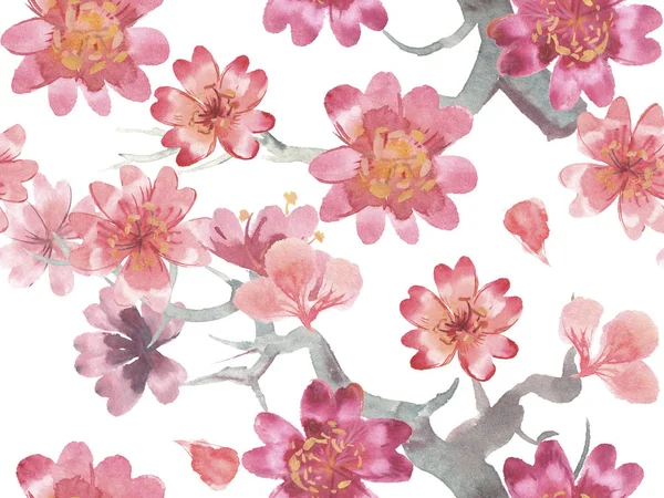 Watercolor Drawing Flowers Bouquet Oriental Cherry Pattern — Stock Photo, Image