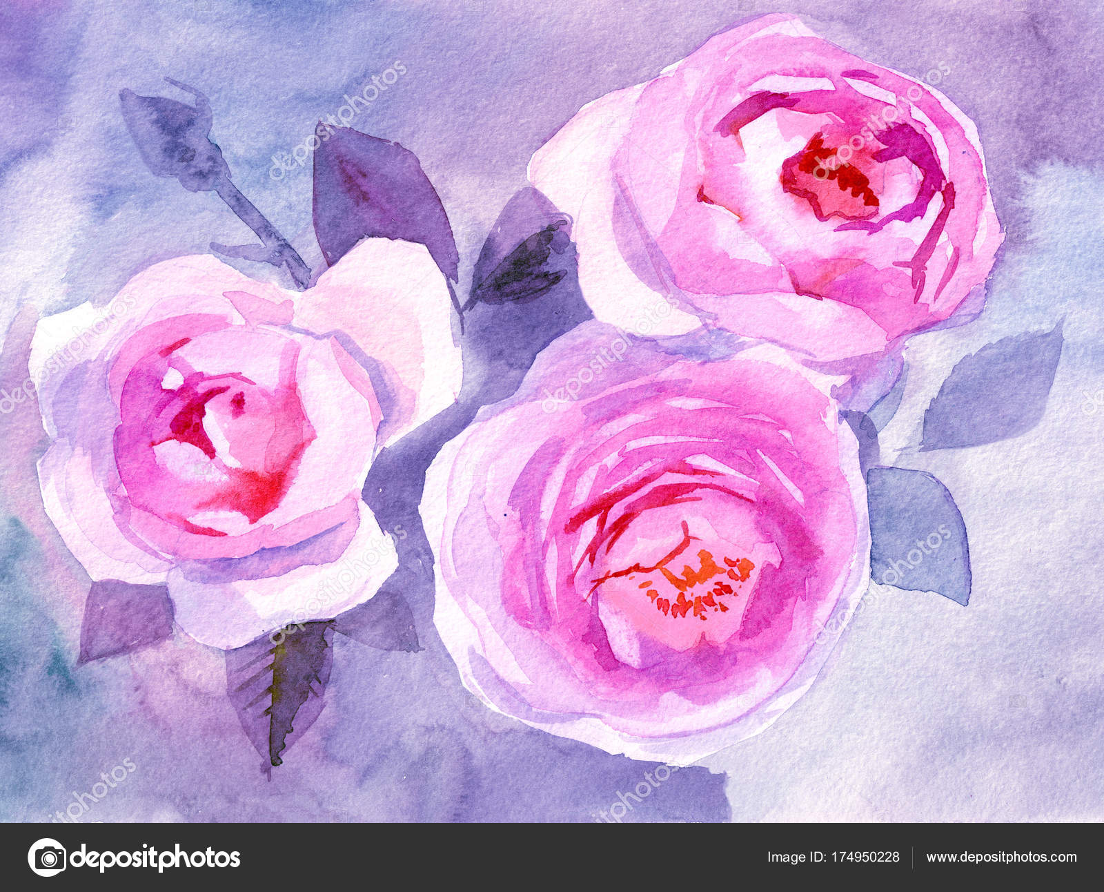 Aquarelle Dessin Bouquet Fleurs Photographie