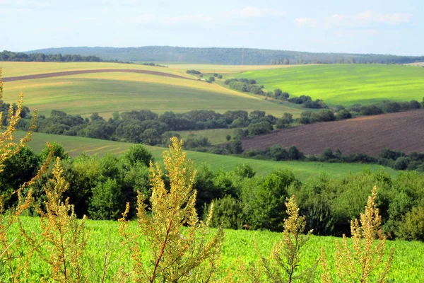 Karpaterna Landskap Ukraina Zakarpattia Region Landsbygdslandskap — Stockfoto