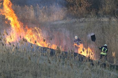 İtfaiyeciler bir orman yangını baharda savaş. Duman alan ve itfaiyeci sonra orman yangını.