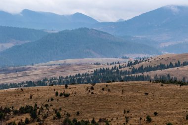 Yüksek dağların tepeleri bulutlarla gizlidir. Sis. Sonbahar manzarası. Panoramik görünüm.