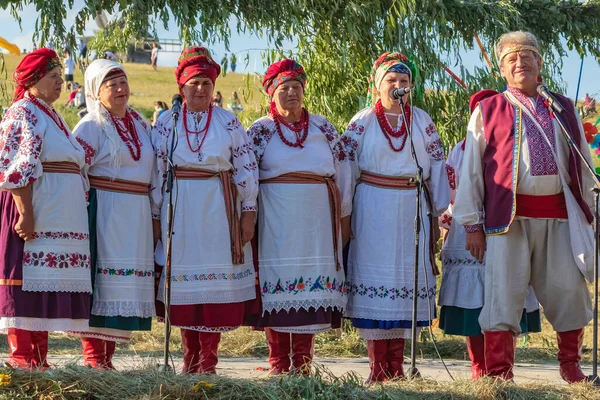 Kyiv Ukraine Juli 2019 Der Traditionelle Jährliche Slawische Feiertag Ivan — Stockfoto