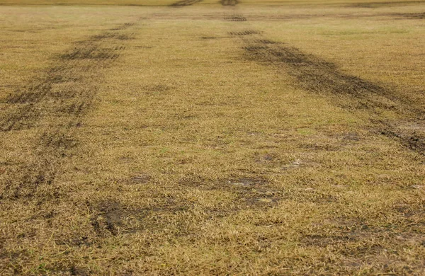Bil däck spårning på lera jord i gräsmattan gård — Stockfoto