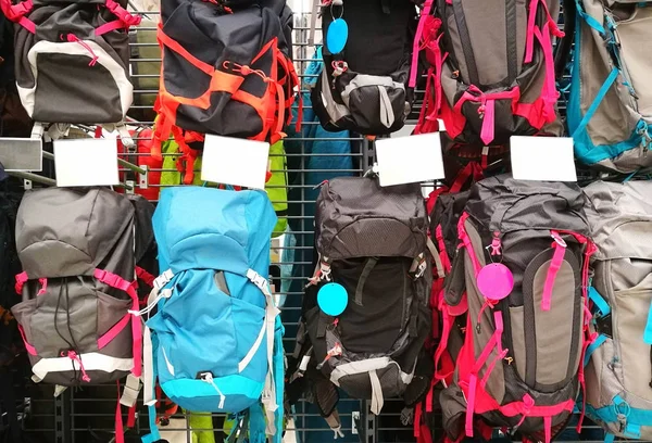 Bolsas y mochilas en diferentes tipos y colores en la tienda —  Fotos de Stock