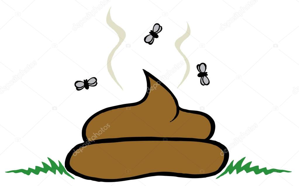 brown poop with fly