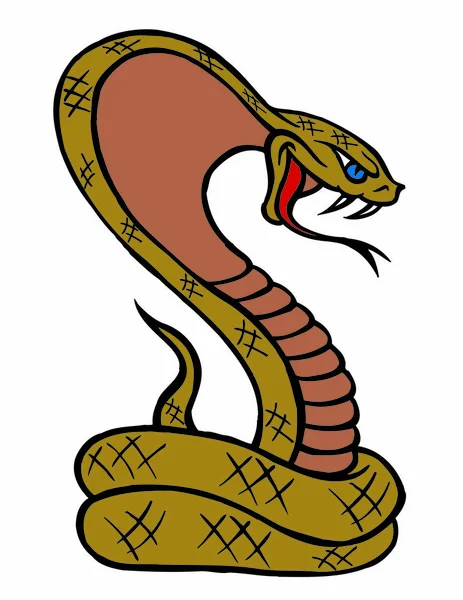 Grande cobra su bianco — Vettoriale Stock