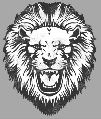 gri arka plan üzerinde siyah beyaz aslan kafa