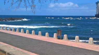 Kanarya Adaları güzel kıyısında