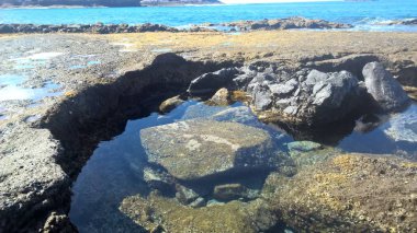 Las Caletas Tenerife Kanarya Adaları