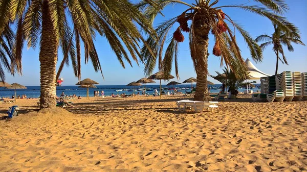 Las Teresitas Tenerife Kanarya Adaları