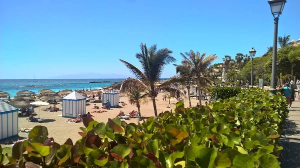 Playa Duque Tenerife Une Île Des Canaries — Photo