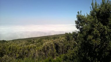 Tenerife el Teide yanardağı peyzaj