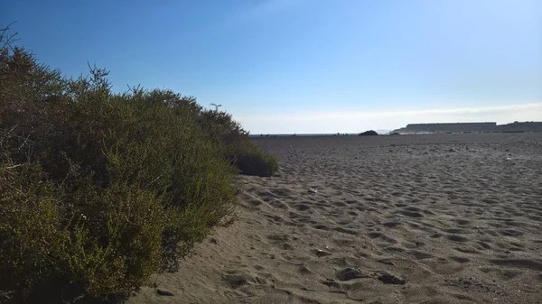 Plaża Tejita Wyspy Kanaryjskie Teneryfa — Zdjęcie stockowe