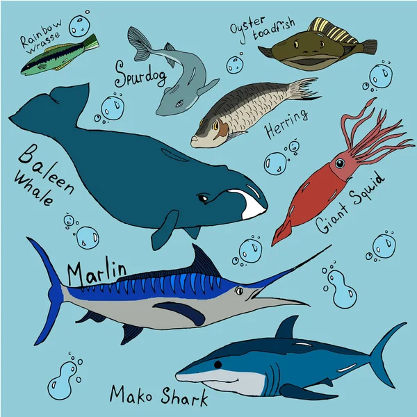 大西洋の魚色分離セット — ストックベクタ