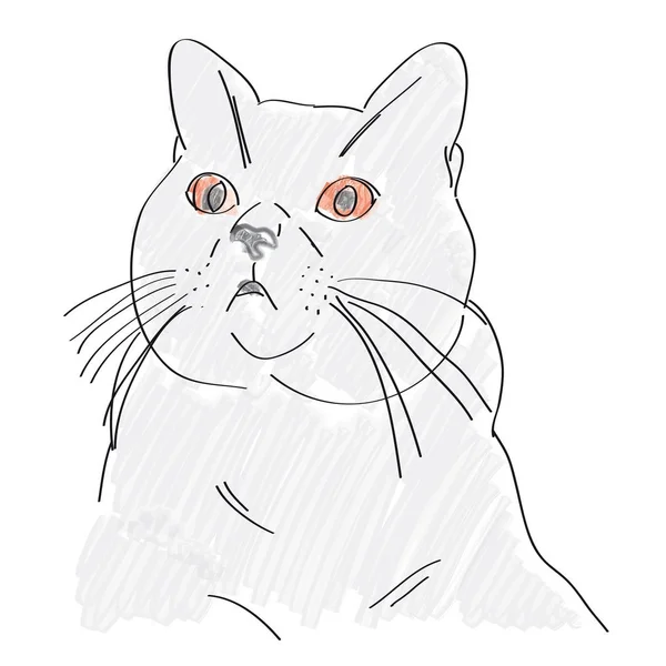 Illustrazione del gatto blu britannico con gli occhi rossi — Vettoriale Stock
