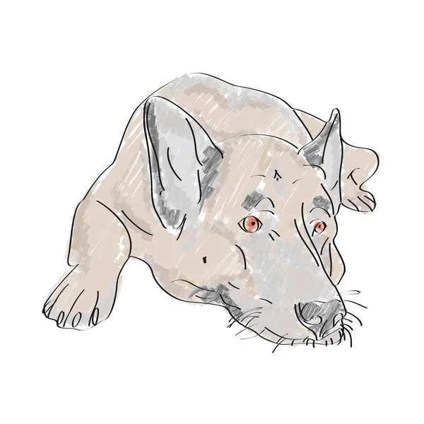 Ilustracja leżący Wilk pies - wyciągnąć rękę — Wektor stockowy