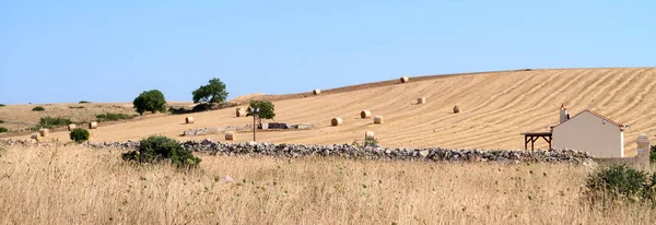 Nature scenery of the countryside near the ancient town of Matera