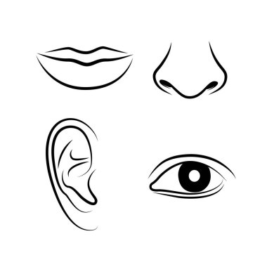 Elle çizilmiş insan duyuları simgeler