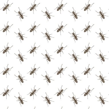 Elle çizilmiş karıncalar seamless modeli